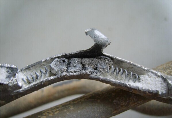 解剖加熱管圖片