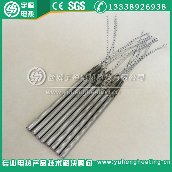 臺灣進口單頭加熱管