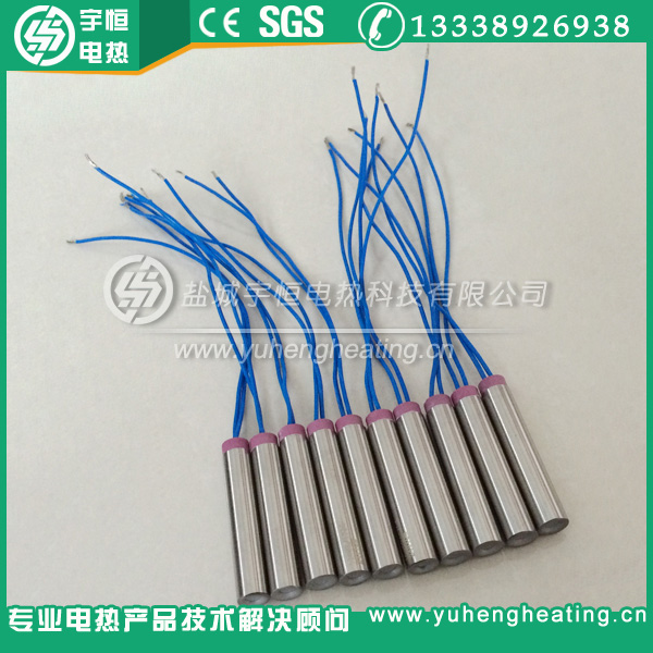 帶瓷頭四氟引線進口內出線加熱管