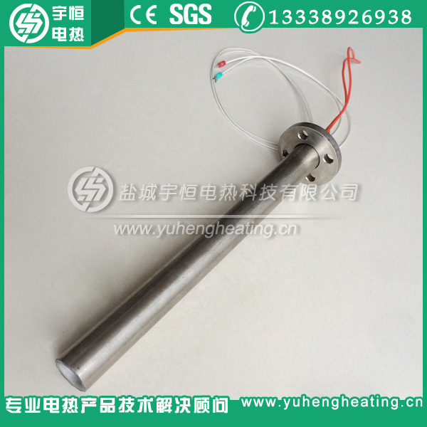 帶PT100測溫法蘭單頭加熱管