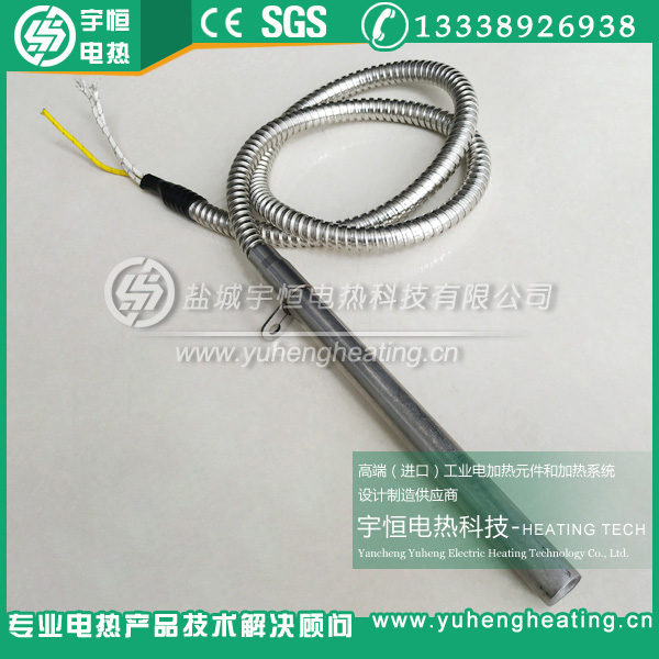 帶金屬軟管進口加熱棒