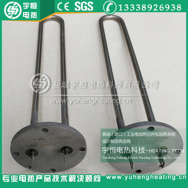 美國進口watlow法蘭加熱管