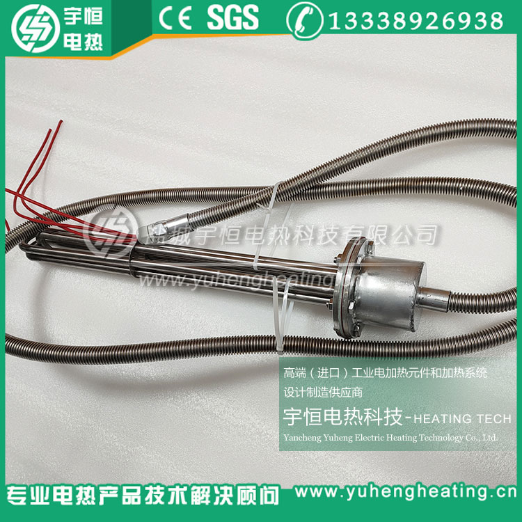 自帶電源引線金屬保護軟管法蘭電加熱管